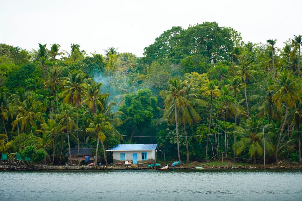 Serene tropical scene of a house by a river with palm trees and lush vegetation.