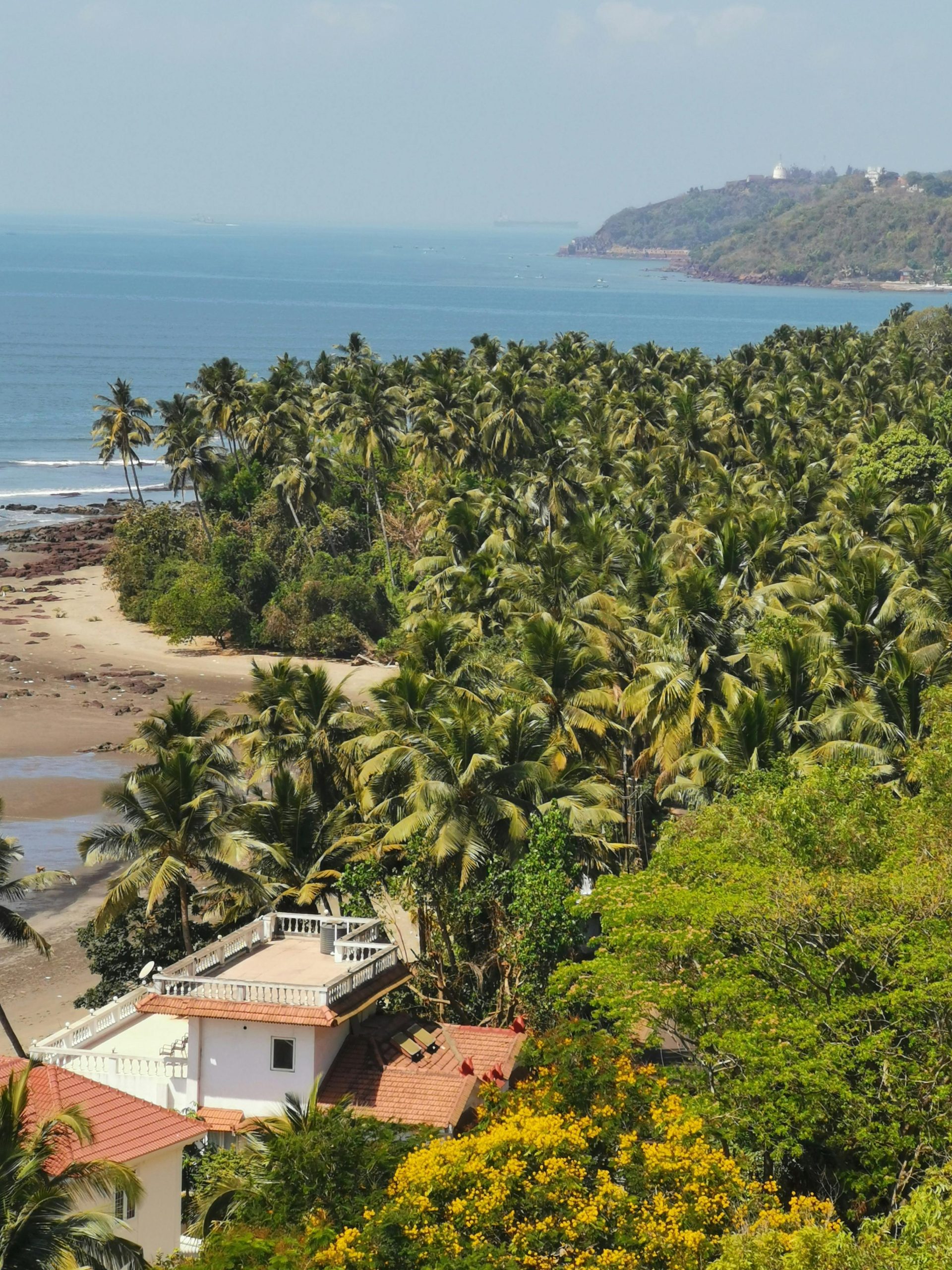 A stunning aerial view of a tropical island with lush palm trees and a serene coastline.